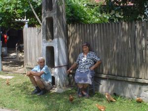 imagine-articol0_46646