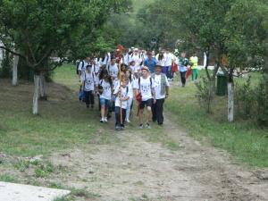 imagine-articol0_46733