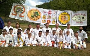 imagine-articol0_46740