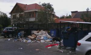 imagine-articol0_46747