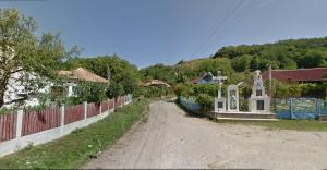 imagine-articol0_46764