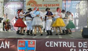 imagine-articol0_46787