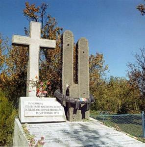 imagine-articol0_46937