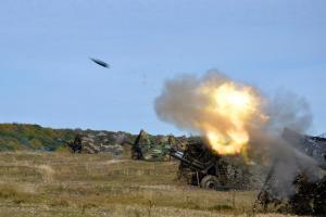 imagine-articol0_46943