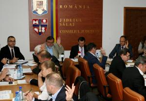 imagine-articol0_47845