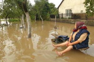 imagine-articol0_47892