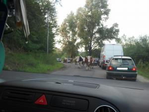 imagine-articol0_47971