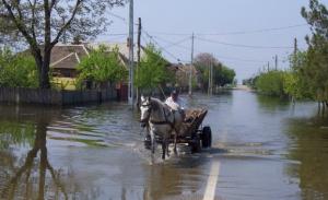 imagine-articol0_48078