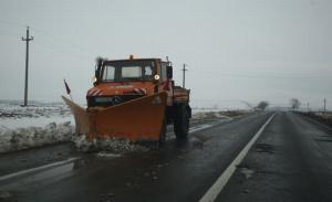 imagine-articol0_48079