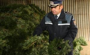 imagine-articol0_48085