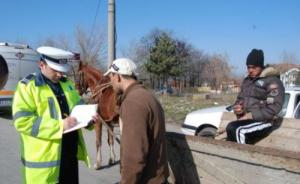 imagine-articol0_48086