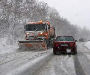 imagine-articol0_48093