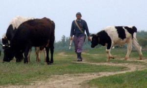 imagine-articol0_48147