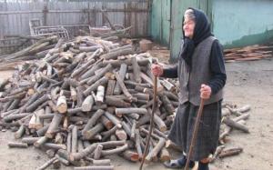 imagine-articol0_48173