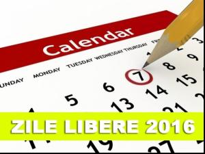 imagine-articol0_48517