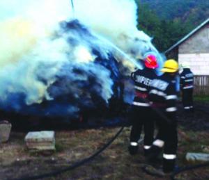 imagine-articol0_48538