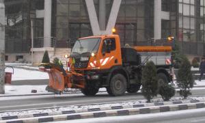 imagine-articol0_48556