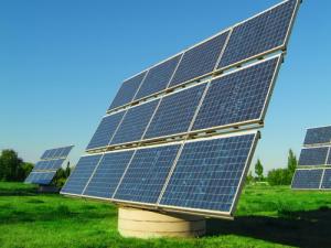 imagine-articol0_48592