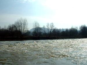 imagine-articol0_48630