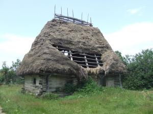 imagine-articol0_48734