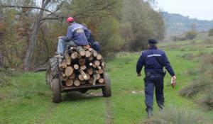 imagine-articol0_48743