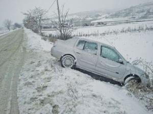 imagine-articol0_48797