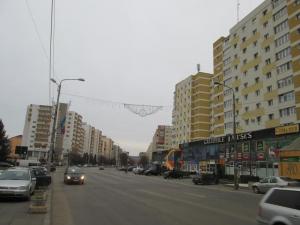 imagine-articol0_48825