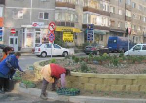 imagine-articol0_49157