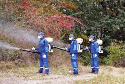 imagine-articol0_49387