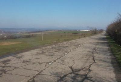 imagine-articol0_49388