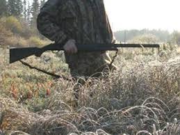 imagine-articol0_50683