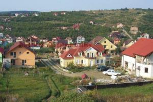 imagine-articol0_50697