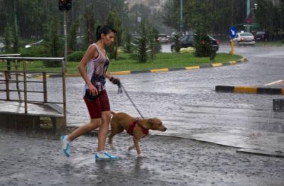 imagine-articol0_50717