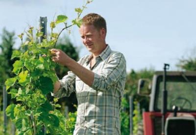 imagine-articol0_50760