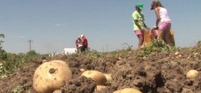 imagine-articol0_50906