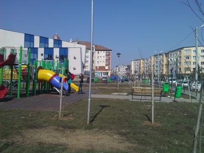 imagine-articol0_50923