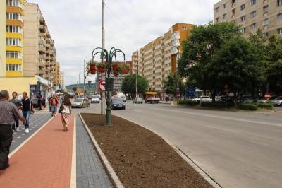 imagine-articol0_50950