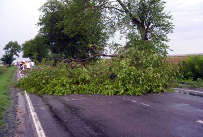 imagine-articol0_50957