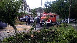 imagine-articol0_50958