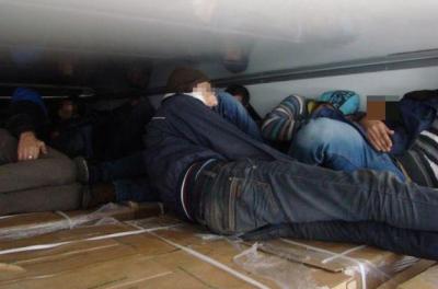 imagine-articol0_50969