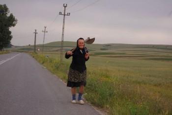 imagine-articol0_50977