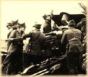 imagine-articol0_50984