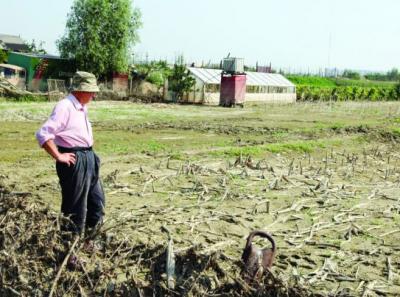 imagine-articol0_50989