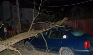 imagine-articol0_50991