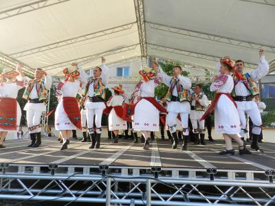 imagine-articol0_51021