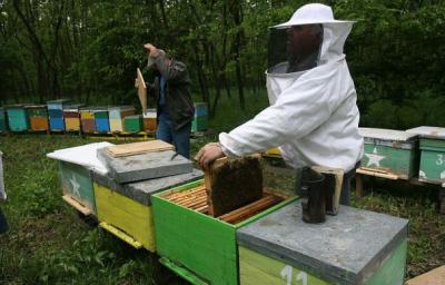 imagine-articol0_51076