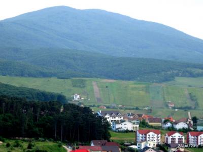 imagine-articol0_51078