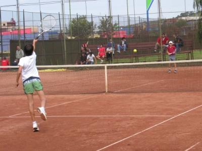 imagine-articol0_51189