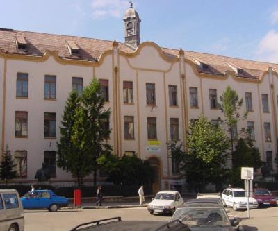 imagine-articol0_51346