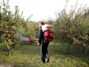 imagine-articol0_51358